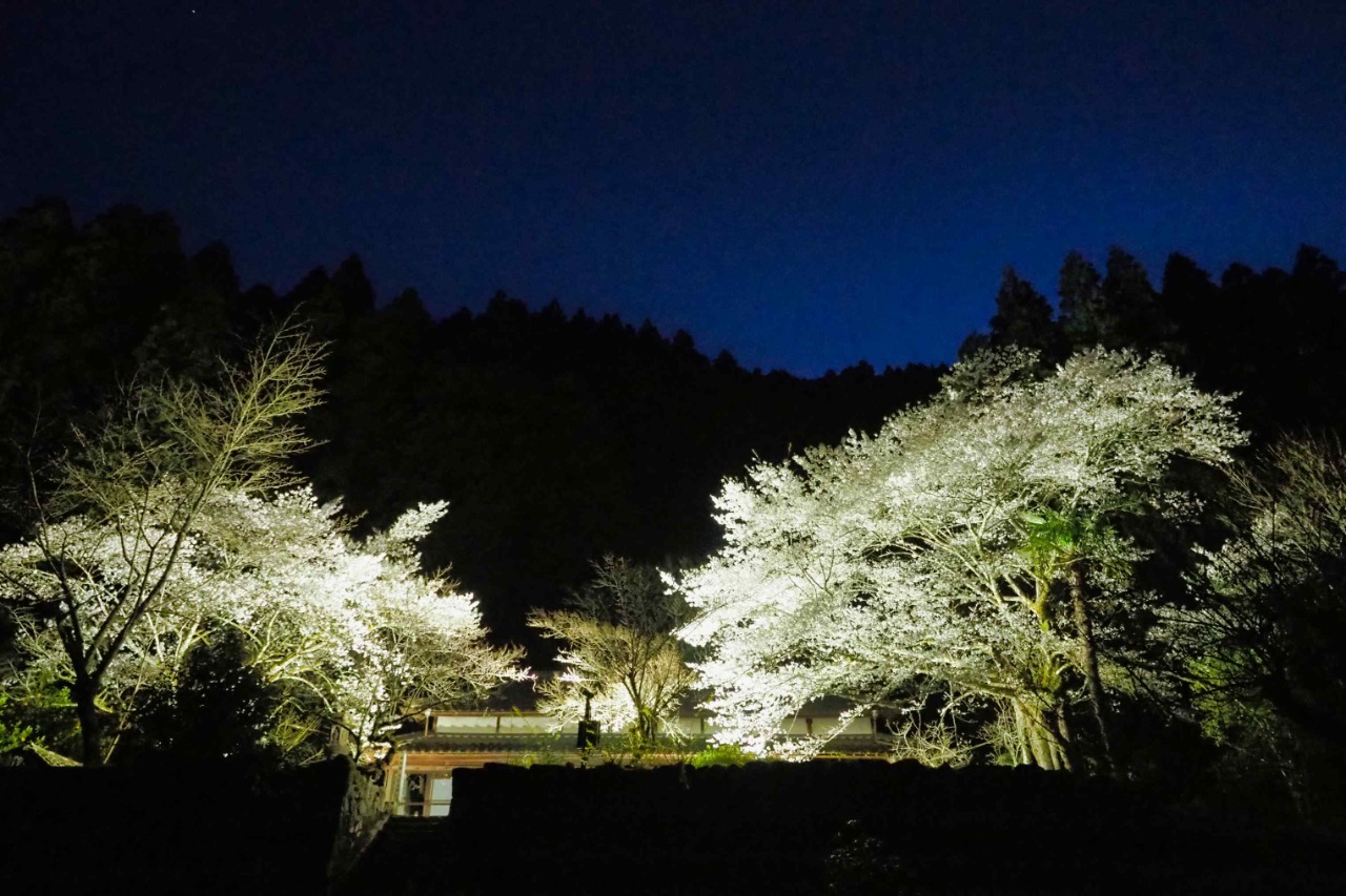 さいきの四季折々の景色をたずねて 花マップ イベント 佐伯市観光ナビ