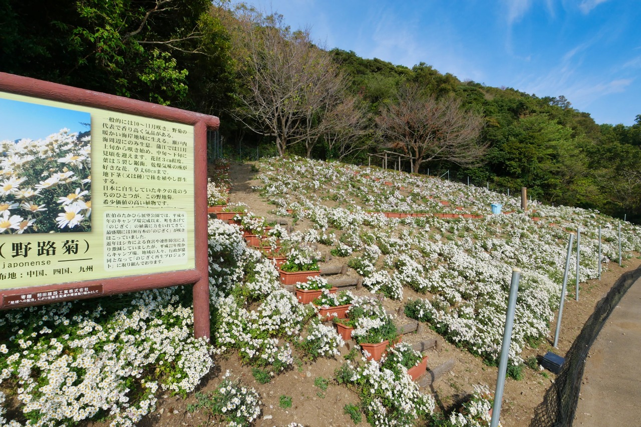 佐伯市蒲江 海の資料館（有形民俗文化財） | 観光スポット | 佐伯市