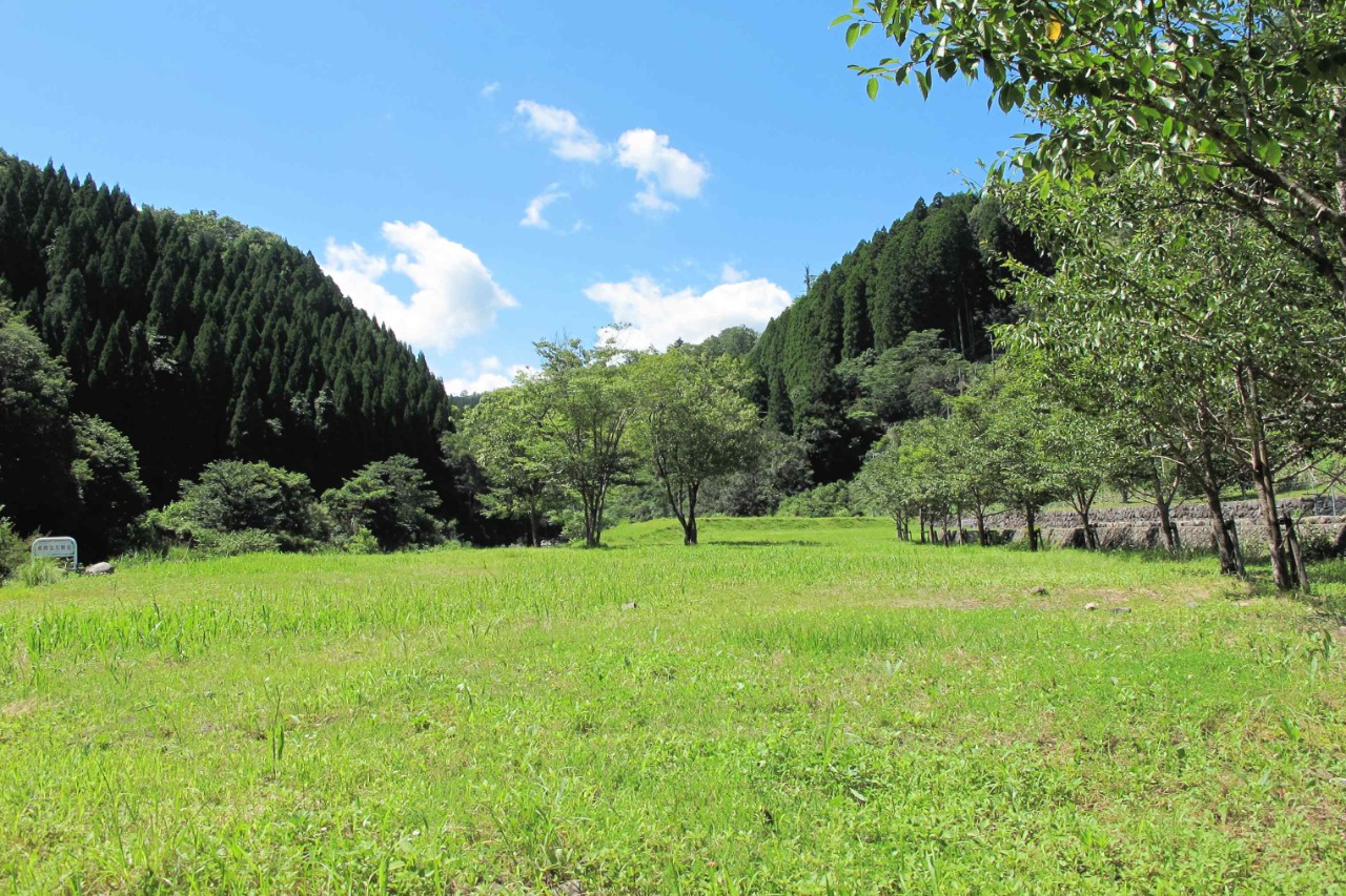 キャンプ場風景